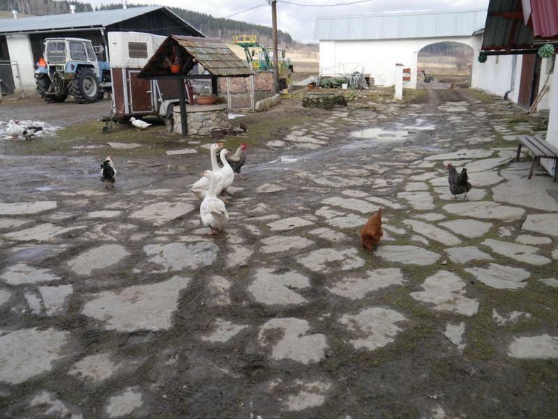 Pod Kasztanem Gospodarstwo Agroturystyczne สโตรเนีย ชล็องสเกีย ภายนอก รูปภาพ