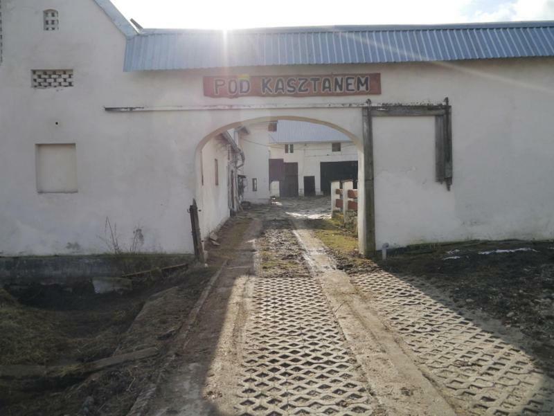 Pod Kasztanem Gospodarstwo Agroturystyczne สโตรเนีย ชล็องสเกีย ภายนอก รูปภาพ