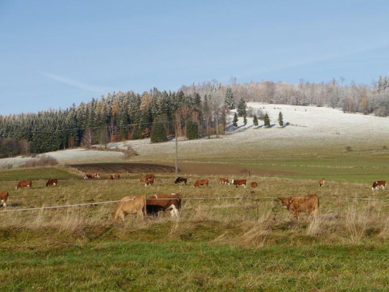 Pod Kasztanem Gospodarstwo Agroturystyczne สโตรเนีย ชล็องสเกีย ภายนอก รูปภาพ